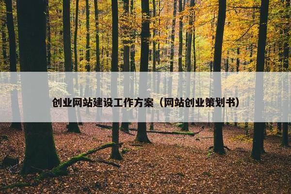 创业网站建设工作方案（网站创业策划书）