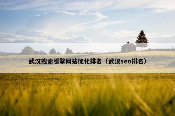 武汉搜索引擎网站优化排名（武汉seo排名）