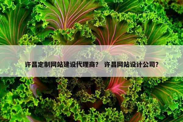 许昌定制网站建设代理商？ 许昌网站设计公司？