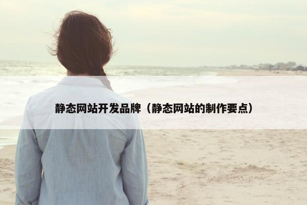 静态网站开发品牌（静态网站的制作要点）