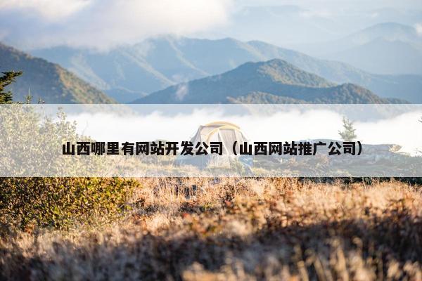 山西哪里有网站开发公司（山西网站推广公司）