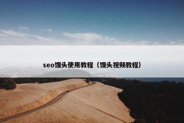 seo馒头使用教程（馒头视频教程）