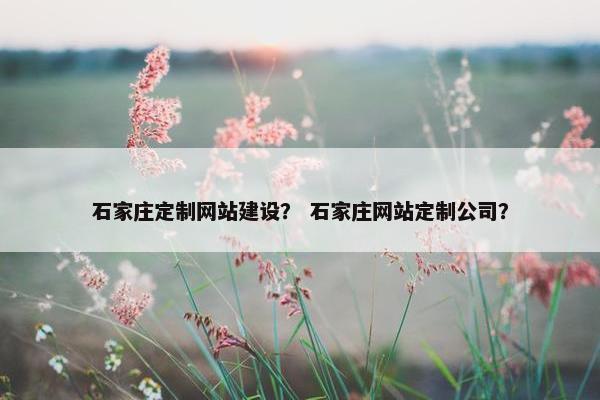 石家庄定制网站建设？ 石家庄网站定制公司？