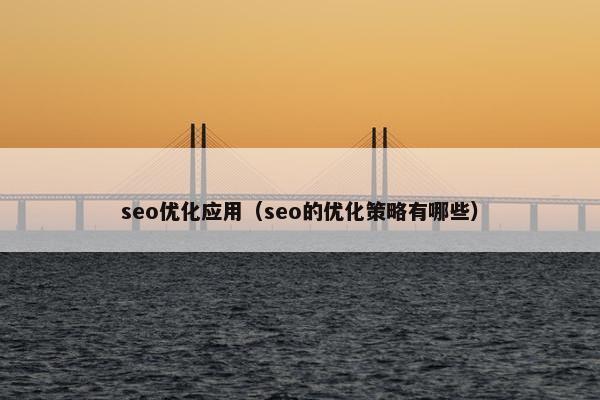 seo优化应用（seo的优化策略有哪些）