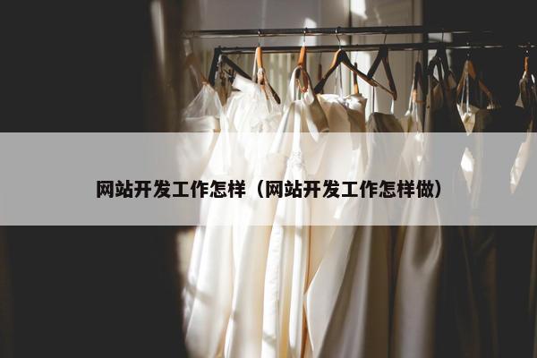网站开发工作怎样（网站开发工作怎样做）