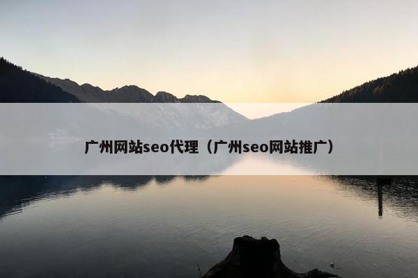 广州网站seo代理（广州seo网站推广）