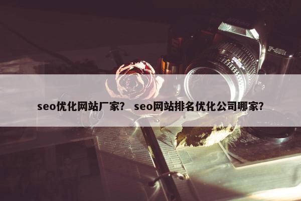 seo优化网站厂家？ seo网站排名优化公司哪家？
