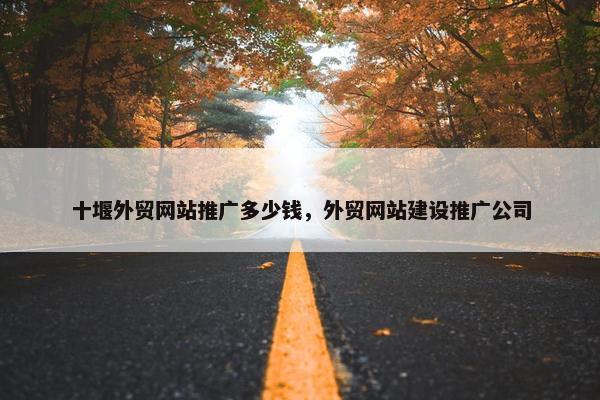 十堰外贸网站推广多少钱，外贸网站建设推广公司