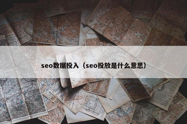 seo数据投入（seo投放是什么意思）