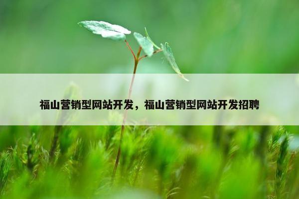 福山营销型网站开发，福山营销型网站开发招聘