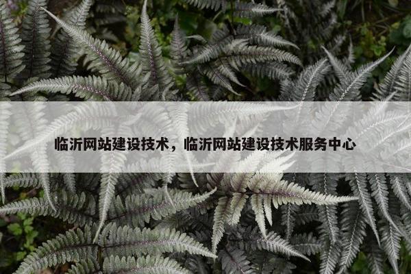 临沂网站建设技术，临沂网站建设技术服务中心