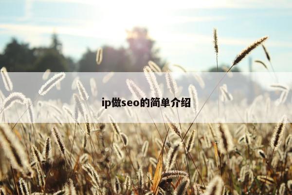 ip做seo的简单介绍