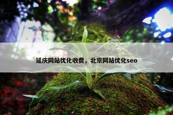延庆网站优化收费，北京网站优化seo