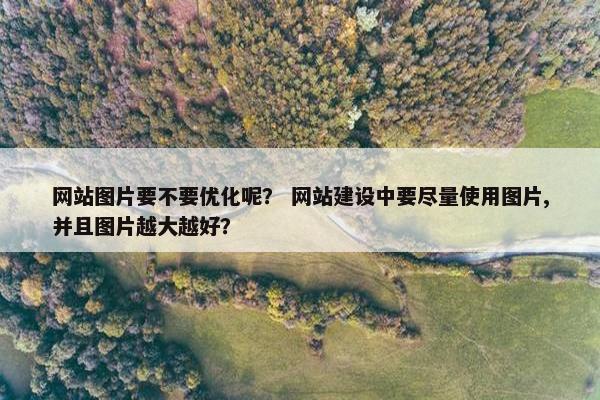 网站图片要不要优化呢？ 网站建设中要尽量使用图片,并且图片越大越好？