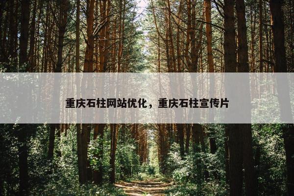 重庆石柱网站优化，重庆石柱宣传片