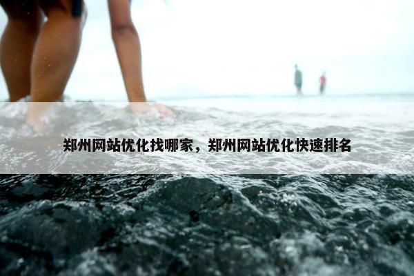 郑州网站优化找哪家，郑州网站优化快速排名