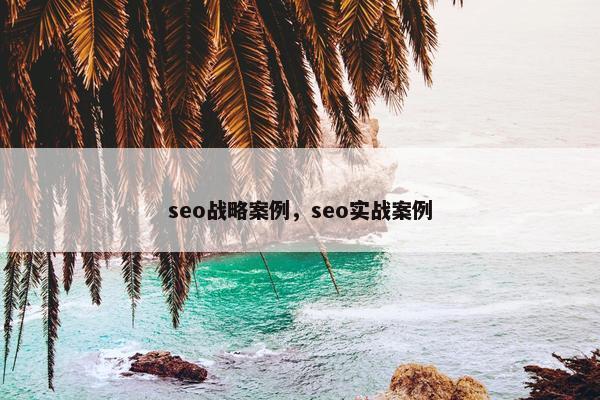 seo战略案例，seo实战案例