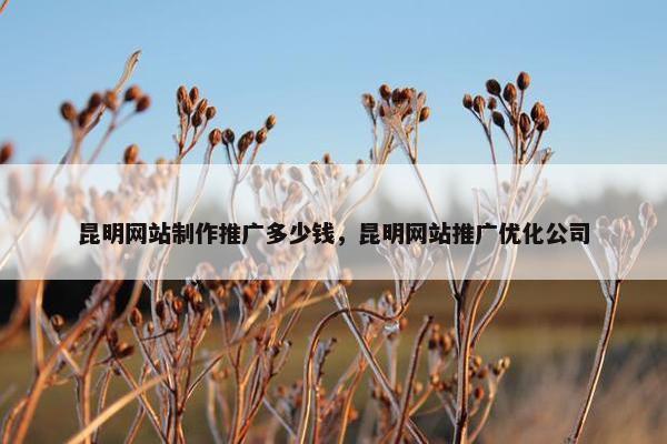 昆明网站制作推广多少钱，昆明网站推广优化公司