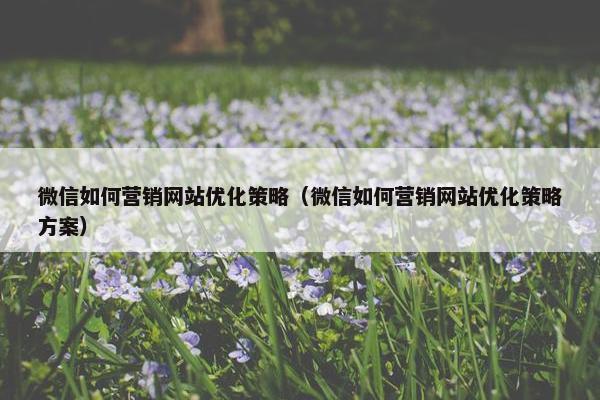 微信如何营销网站优化策略（微信如何营销网站优化策略方案）