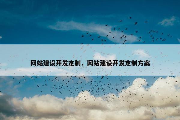 网站建设开发定制，网站建设开发定制方案
