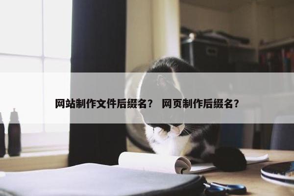 网站制作文件后缀名？ 网页制作后缀名？
