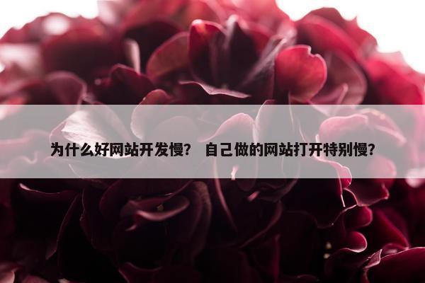 为什么好网站开发慢？ 自己做的网站打开特别慢？