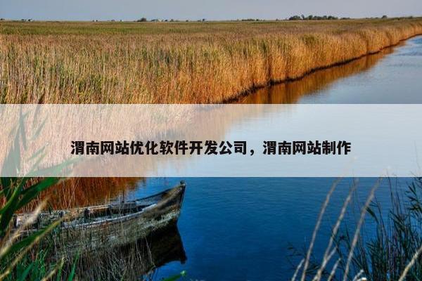渭南网站优化软件开发公司，渭南网站制作
