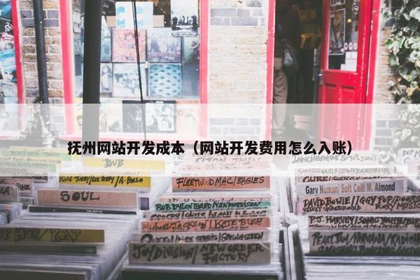 抚州网站开发成本（网站开发费用怎么入账）