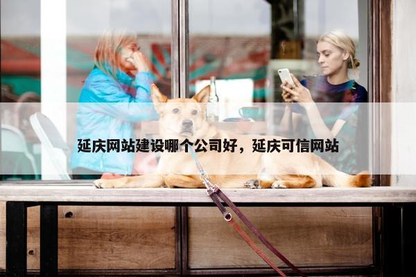 延庆网站建设哪个公司好，延庆可信网站