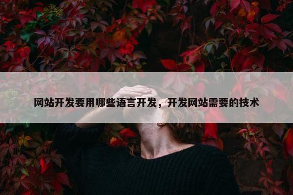 网站开发要用哪些语言开发，开发网站需要的技术