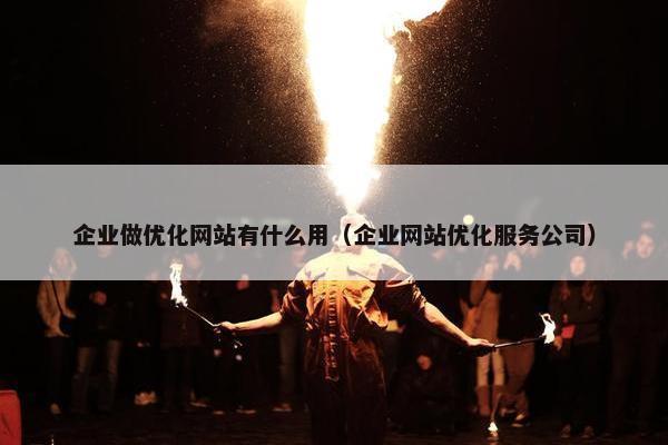 企业做优化网站有什么用（企业网站优化服务公司）