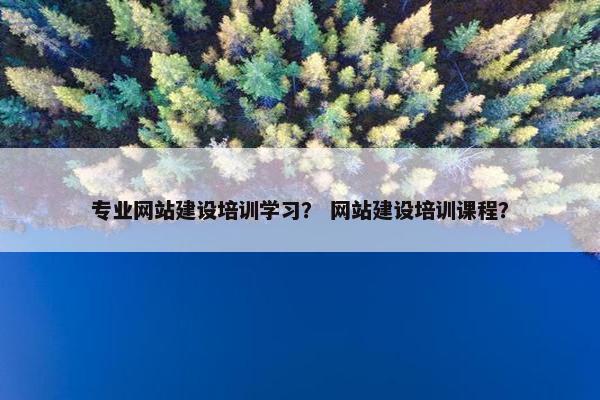 专业网站建设培训学习？ 网站建设培训课程？