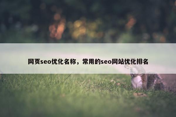 网页seo优化名称，常用的seo网站优化排名