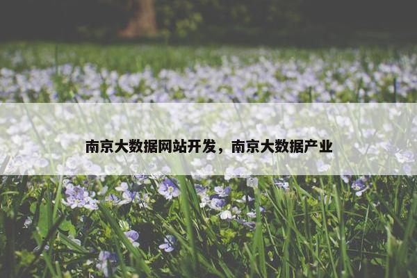 南京大数据网站开发，南京大数据产业