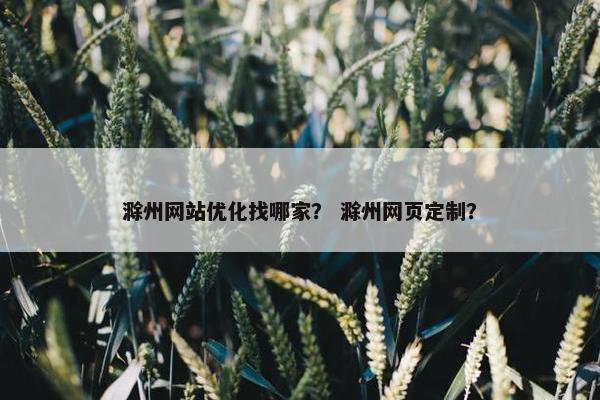 滁州网站优化找哪家？ 滁州网页定制？