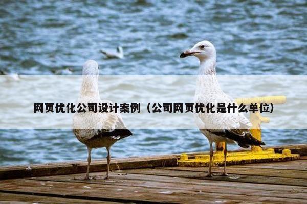 网页优化公司设计案例（公司网页优化是什么单位）