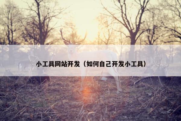 小工具网站开发（如何自己开发小工具）