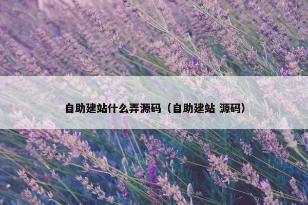 自助建站什么弄源码（自助建站 源码）