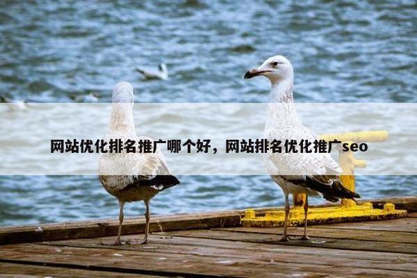 网站优化排名推广哪个好，网站排名优化推广seo