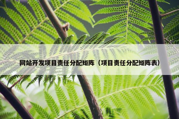 网站开发项目责任分配矩阵（项目责任分配矩阵表）
