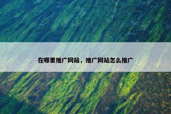 在哪里推广网站，推广网站怎么推广