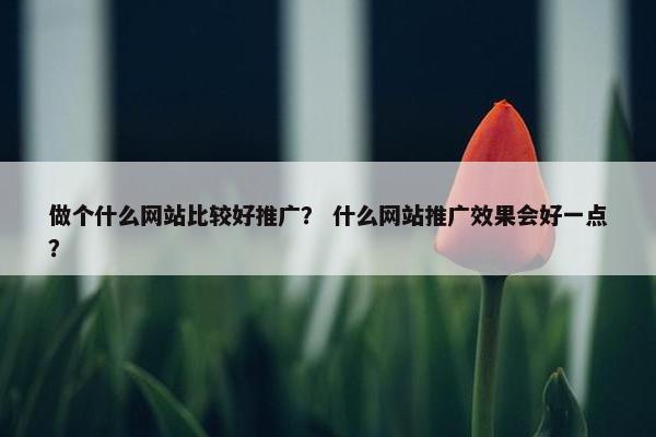 做个什么网站比较好推广？ 什么网站推广效果会好一点？