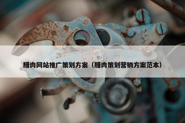 腊肉网站推广策划方案（腊肉策划营销方案范本）