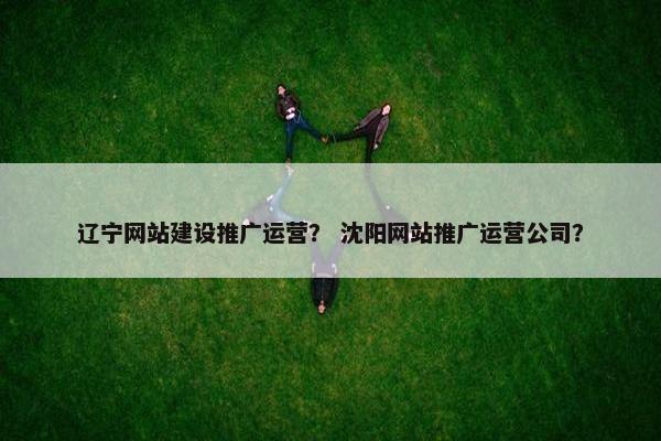 辽宁网站建设推广运营？ 沈阳网站推广运营公司？