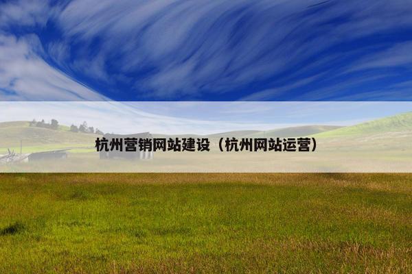 杭州营销网站建设（杭州网站运营）