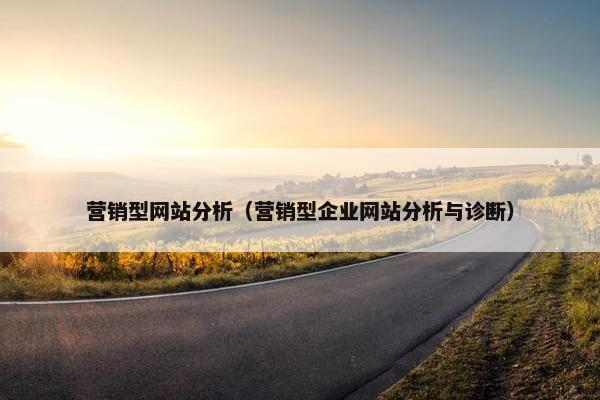 营销型网站分析（营销型企业网站分析与诊断）
