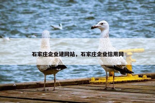 石家庄企业建网站，石家庄企业信用网