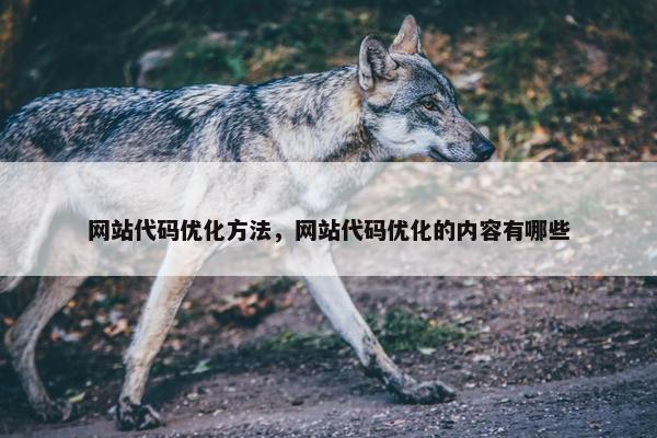 网站代码优化方法，网站代码优化的内容有哪些