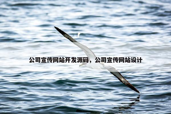 公司宣传网站开发源码，公司宣传网站设计