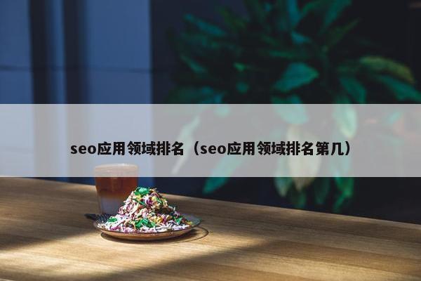 seo应用领域排名（seo应用领域排名第几）